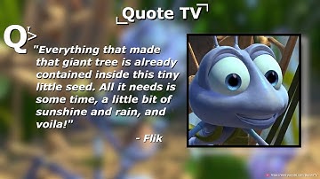 Bugs Life - Everything that made that giant tree is already contained inside..
