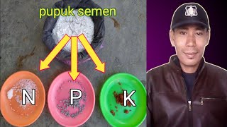 pengaruh aplikasi pupuk dari semen terhadap unsur NPK