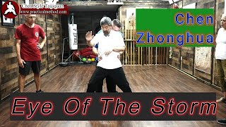 Chen Zhonghua "Eye of the Storm" Chen Style Taijiquan Practical Method Workshop, Wittmann, AZ 2023