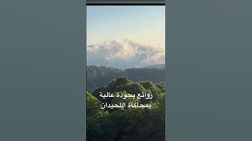 لأول مرة تسمعها لأجمل محاكاة للحيدان بجودة عالية القارئ عبدالرحمن ناجي #_shor #اللحيدان #4kstatus