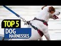 TOP 5: Dog Harnesses