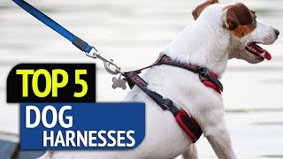 TOP 5: Dog Harnesses
