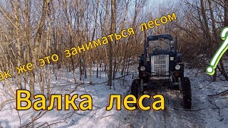 трюлюем лес, валка леса?