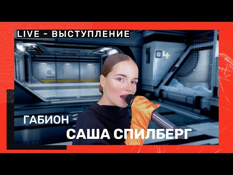 Саша Спилберг - Габион (LIVE-выступление)