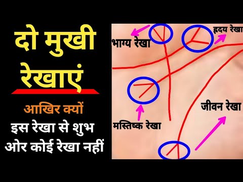 वीडियो: घुमावदार रेखाएं किसका प्रतीक हैं?