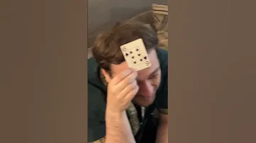 Car Meta Tcott Improv 
