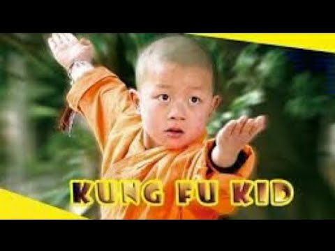 Kung fu kid pelicula completa español latino