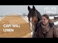 Pferd mit Ataxie - Capi will leben | HELDENLÄNDLE | Regio TV Pferd mit Ataxie - Capi will leben | HELDENLÄNDLE | Regio TV