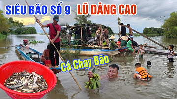 SIÊU BÃO SỐ 9 QUÁ MẠNH NƯỚC LŨ DÂNG CAO - NGHỀ CÁ BIÊN GIỚI CAMPUCHIA TRÚNG LỚN CÁ ĐỒNG TRÀN CHỢ