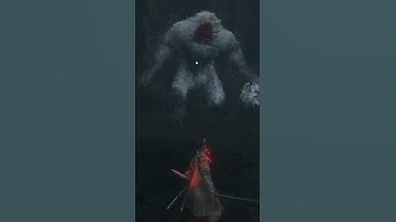 You can stop the SECOND ape appearing in Sekiro