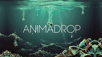 Animadrop - Zeitfall