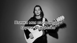 Группа Рождество - Птичка моя на проводе ( Guitar Cover by Kaver_Lina )