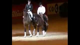 A dressage vs. western horse show! the comparison of moves in two
classes is shown. what do you think?! come follow me on social
network! instagram...