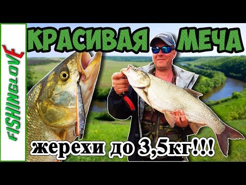 КРАСИВАЯ МЕЧА