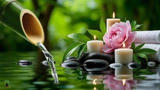 Download Lagu Relaxing Sleep Music with Bamboo Water Sound🌿Deep Healing and Meditation Music Relax Mind Body, Spa MP3 Download Lagu Relaxing Sleep Music with Bamboo Water Sound🌿Deep Healing and Meditation Music Relax Mind Body, Spa MP3