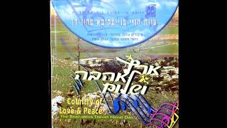 Video thumbnail of "יעלה ויבוא - ארץ אהבה ושלום - צוות הווי בני עקיבא דן, הופק בשנת 95"