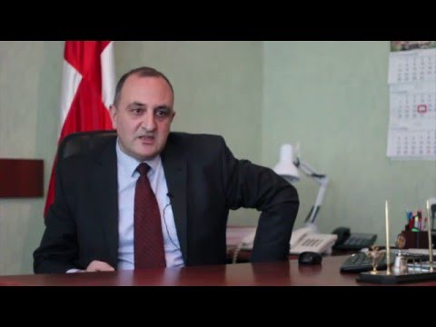 ვასილ მშვენიერაძე