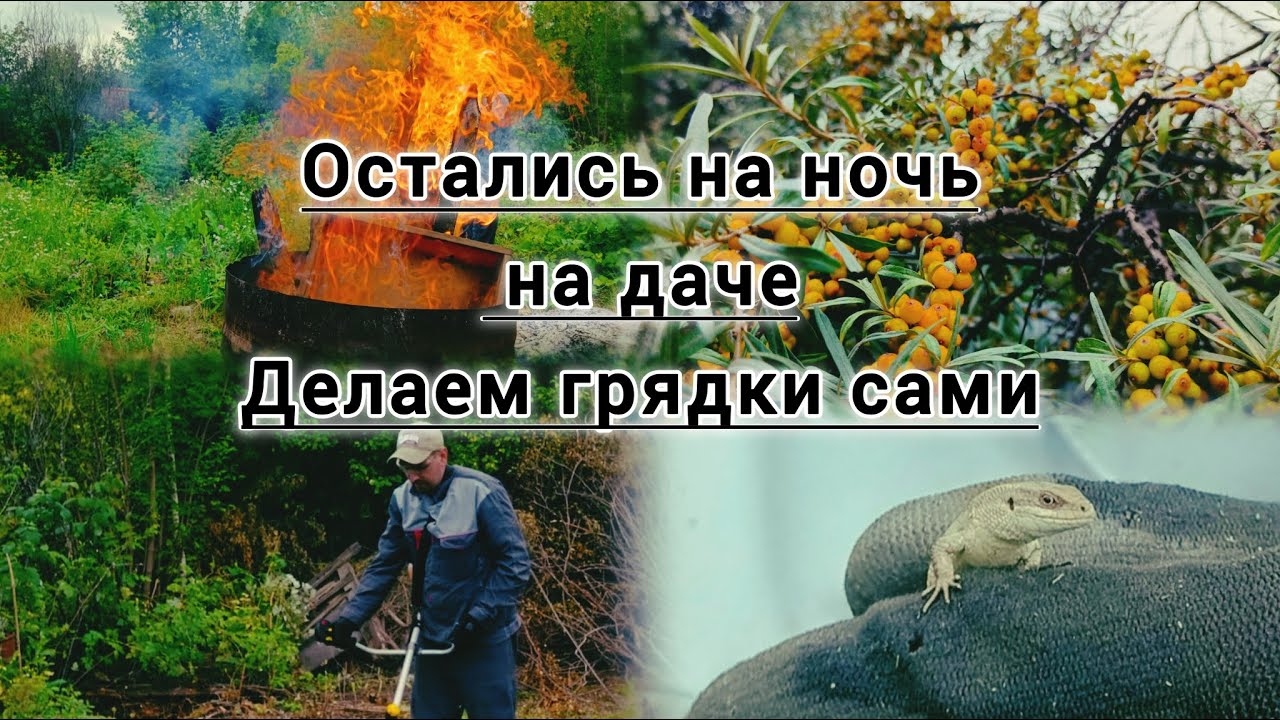 ПЕРВАЯ НОЧЁВКА НА ДАЧЕ, МНОГО ПИЛИЛИ, КОПАЛИ И ГРЯДКАМ НА ДАЧЕ БЫТЬ