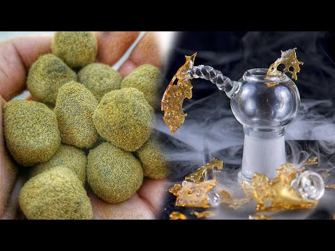 MOON ROCK DABS - Extracting Cannabis Concentrates From MOON ROCKS