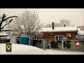 Краснодар: под тяжестью мокрого снега ломались деревья