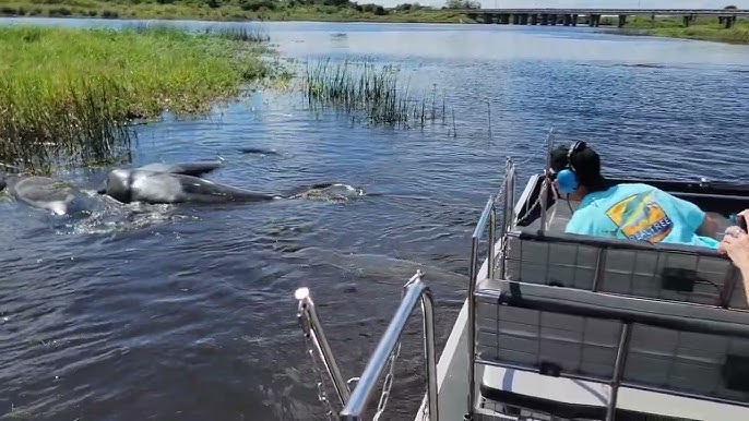 Sawgrass Recreation Park  Everglades Airboat Tours, Florida