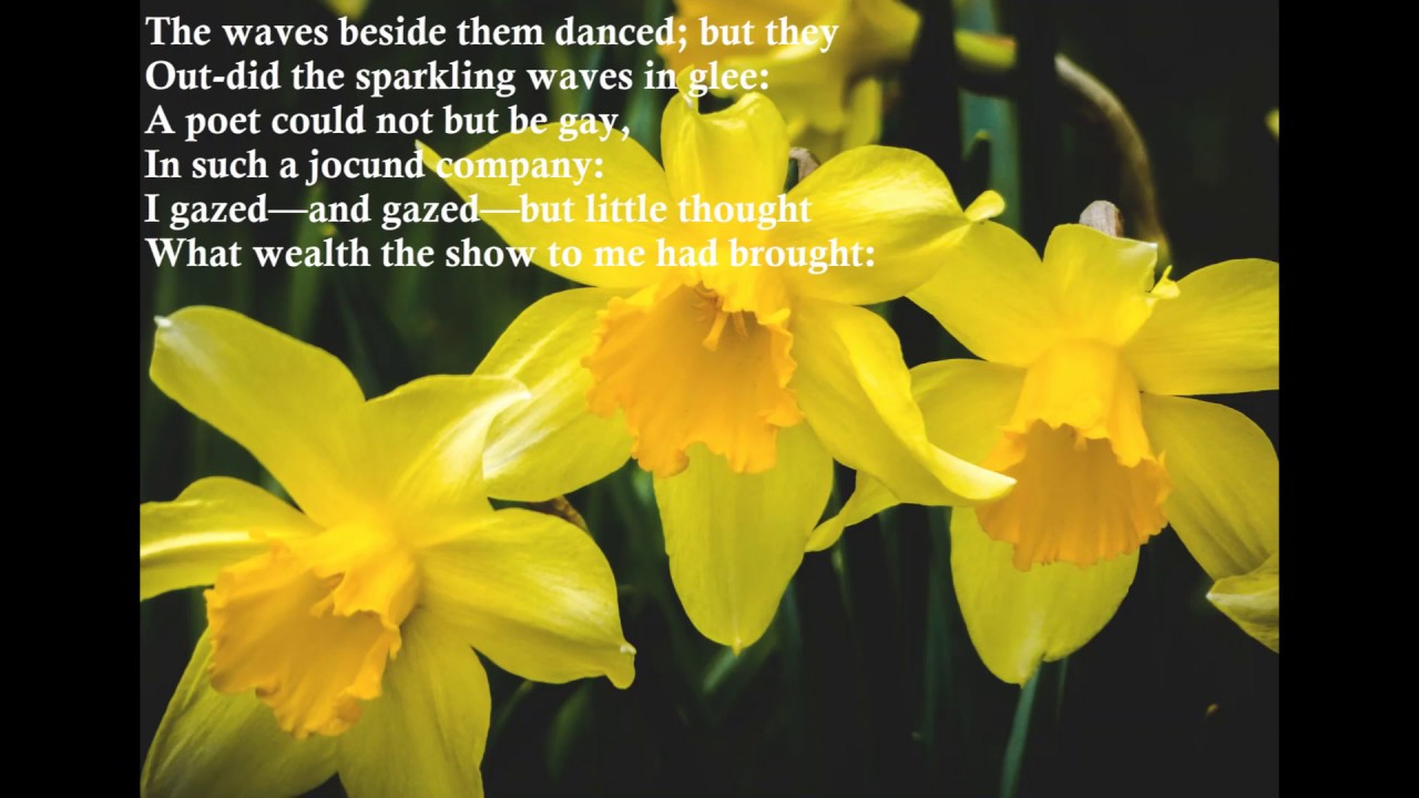 The Daffodils Read Aloud YouTube