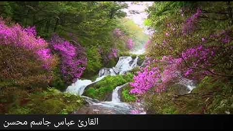 القارئ عباس جاسم…..