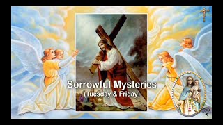 SORROWFUL MYSTERIES (TUESDAY & FRIDAY) screenshot 5