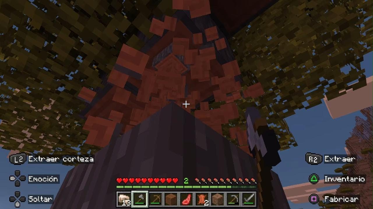 Minecraft_20260216143523