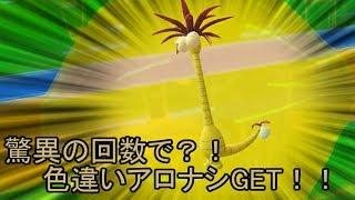 初心者でもできる固定リセット色違い厳選のすすめ 準備編 自由に生きてあそblog