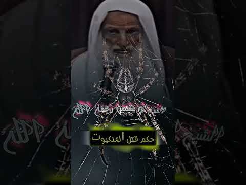 حكم قتل العنكبوت الشيخ ابن عثيمين