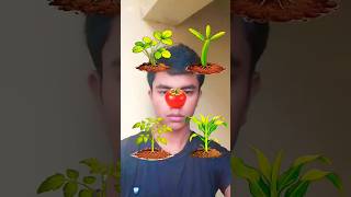 The Impossible game #sonic #gaming