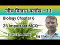 Class 11 Biology Chapter 6 MCQ | Anatomy of Flowering Plants Important Questions 2026