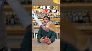 맥주 안에 있는 효모 탈모에 도움이 될까?