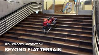 Scaling Rough Terrain Locomotion With Automatic Curriculum Reinforcement Learning
