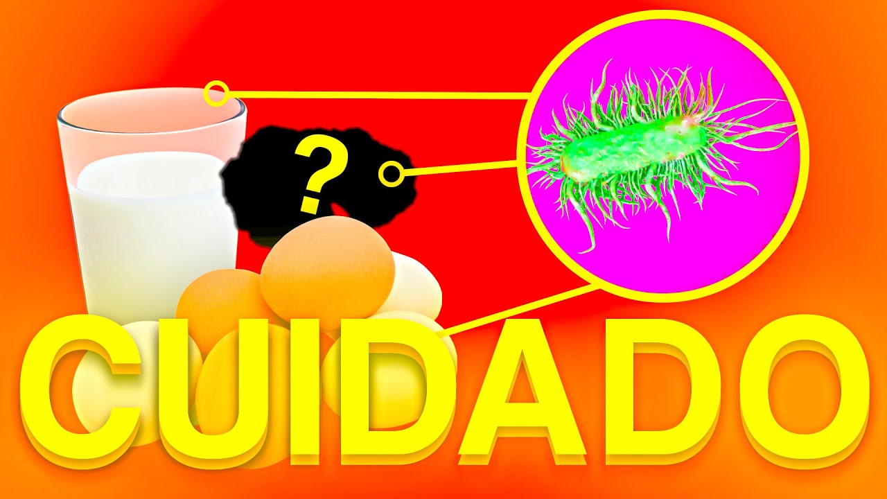 🔴 SALMONELLA NO TYPHI. ¿Qué es? ¿Cómo se trata la GASTROENTERITIS