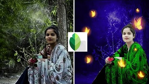 Snapseed Blue And Bird Effect Photo Editing Tutorial | Snapseed Background Colour Change Tricks