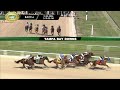 February 20, 2026  Race 6