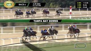 February 20, 2026  Race 6