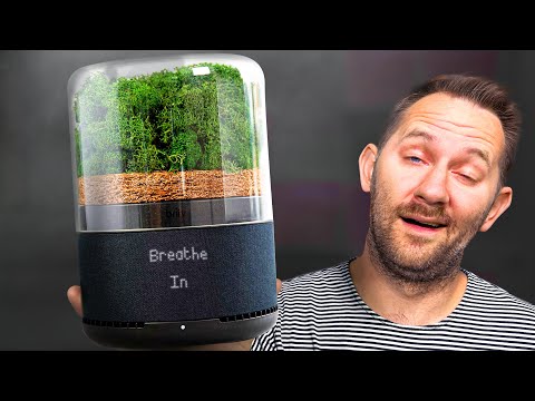 10 Products That