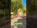 पाठशाला #shortsviral #primaryschool #youtubeshorts #viralshorts #ytshorts #nature #explore #youtube