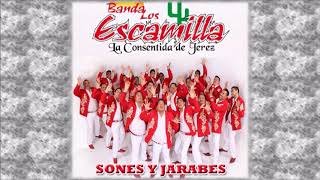 Banda Los Escamilla - El becerro