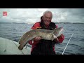 Angeln in Norwegen: Tregde Ferie - Fischvielfalt am laufenden Band in Südnorwegen