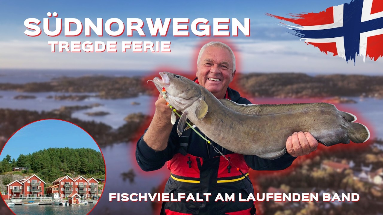 Angeln in Norwegen: Tregde Ferie - Fischvielfalt am laufenden Band in Südnorwegen