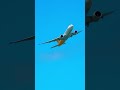 DHL Plane B777-F takeoff in Daniel K. Inouye Int’l Airport #airplane #aviation #hawaii #2024