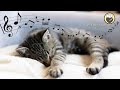 Cat Music - Sounds that Cats Love, Harp Music and Water Sounds