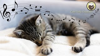 Cat Music - Sounds that Cats Love, Harp Music and Water Sounds screenshot 3