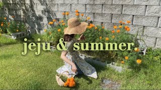 [vlog] 여름냄새 잔뜩 풍기는 7년차, 20대 시골카페사장의 제주2주살기 준비 브이로그 🌳💚