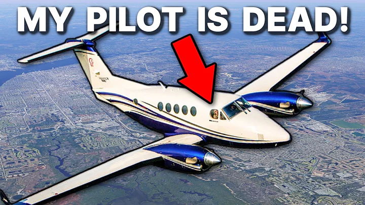 Pilot Dies! Passenger TRIES To Land Plane!