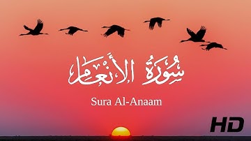 التلاوة تأخذك الى عالم آخر | تلاوة ما تيسر من سورة الأنعام | تلاوة خاشعة